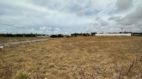 Terreno rustico en ConilLa Lobita, imatge 4