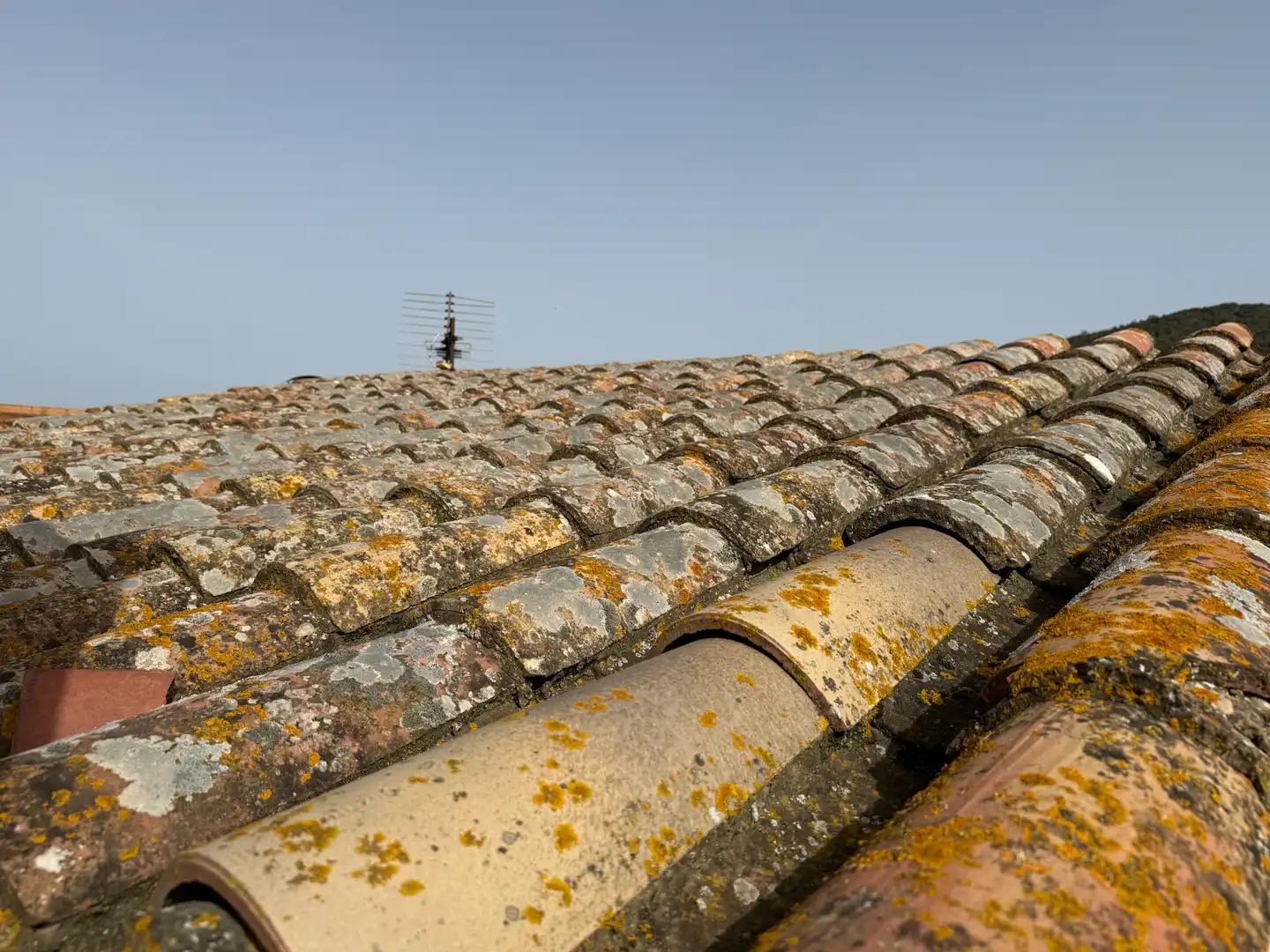 Vista exterior de Casa adosada en venta en Regencós con Terraza