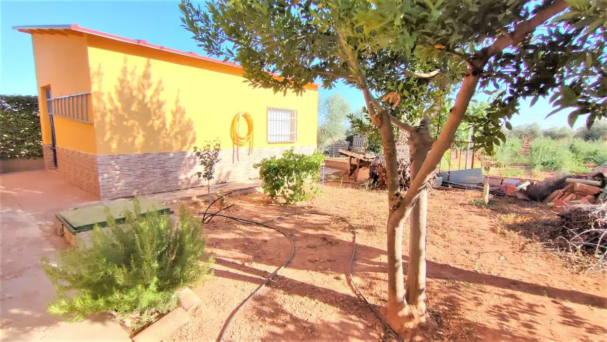 Casa rústica en venda a San Carlos del Valle (Carril de las Chozas) km 3, imagen 23