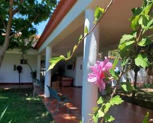 Jardí de Edifici en venda en Montijo