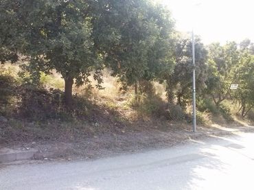 Terreno residenziale in vendita a Carrer dels Cirerers 80
