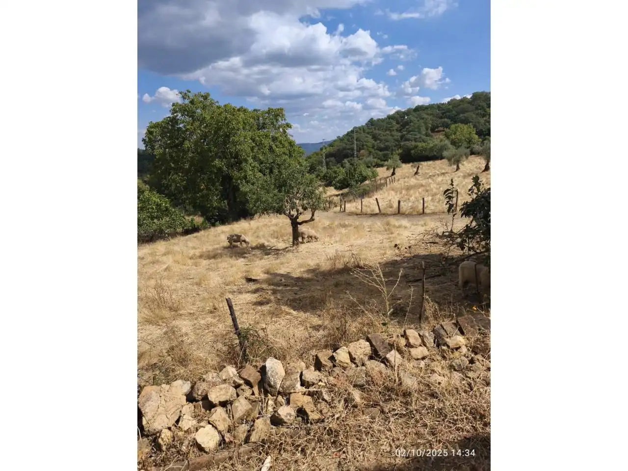 Land for sale in Calle Manuel León, Cortegana
