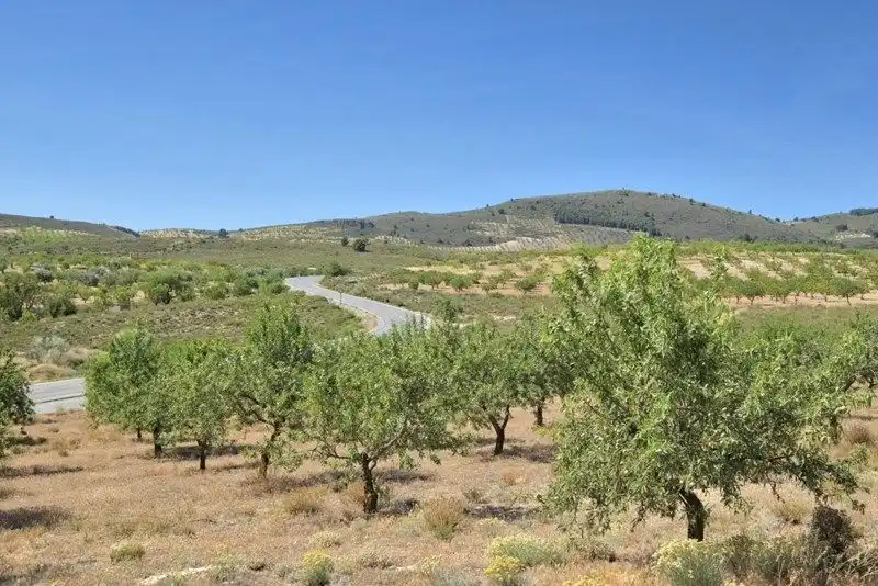 Terreny rústic en venda a Villamena, imagen 36