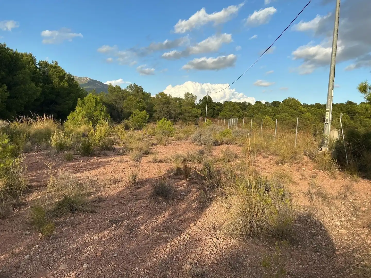 Grundstücke und Bauplätze zum Verkauf in Totana, imagen 3