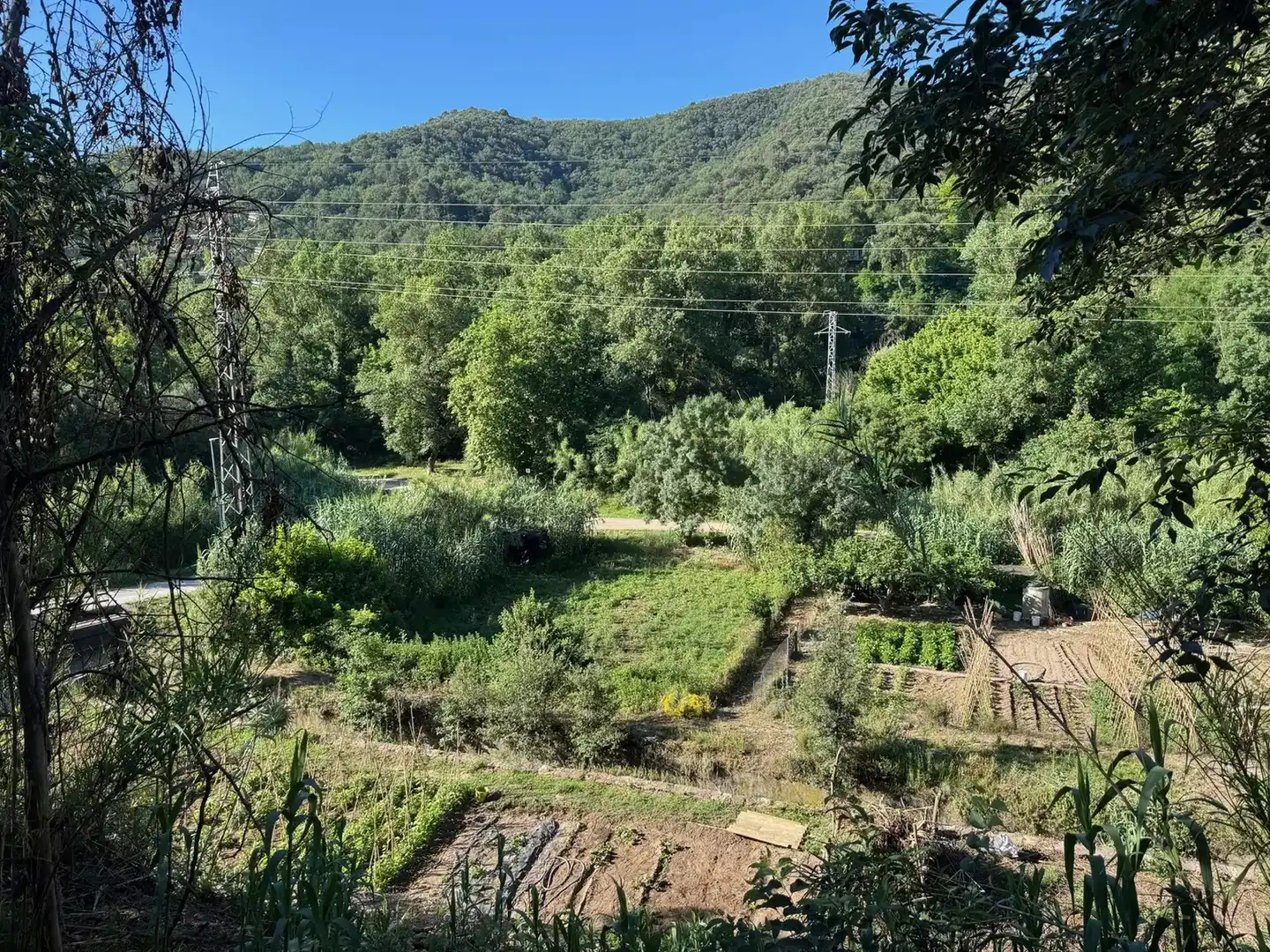 Terreno residencial en venta en Besalú, imagen 8
