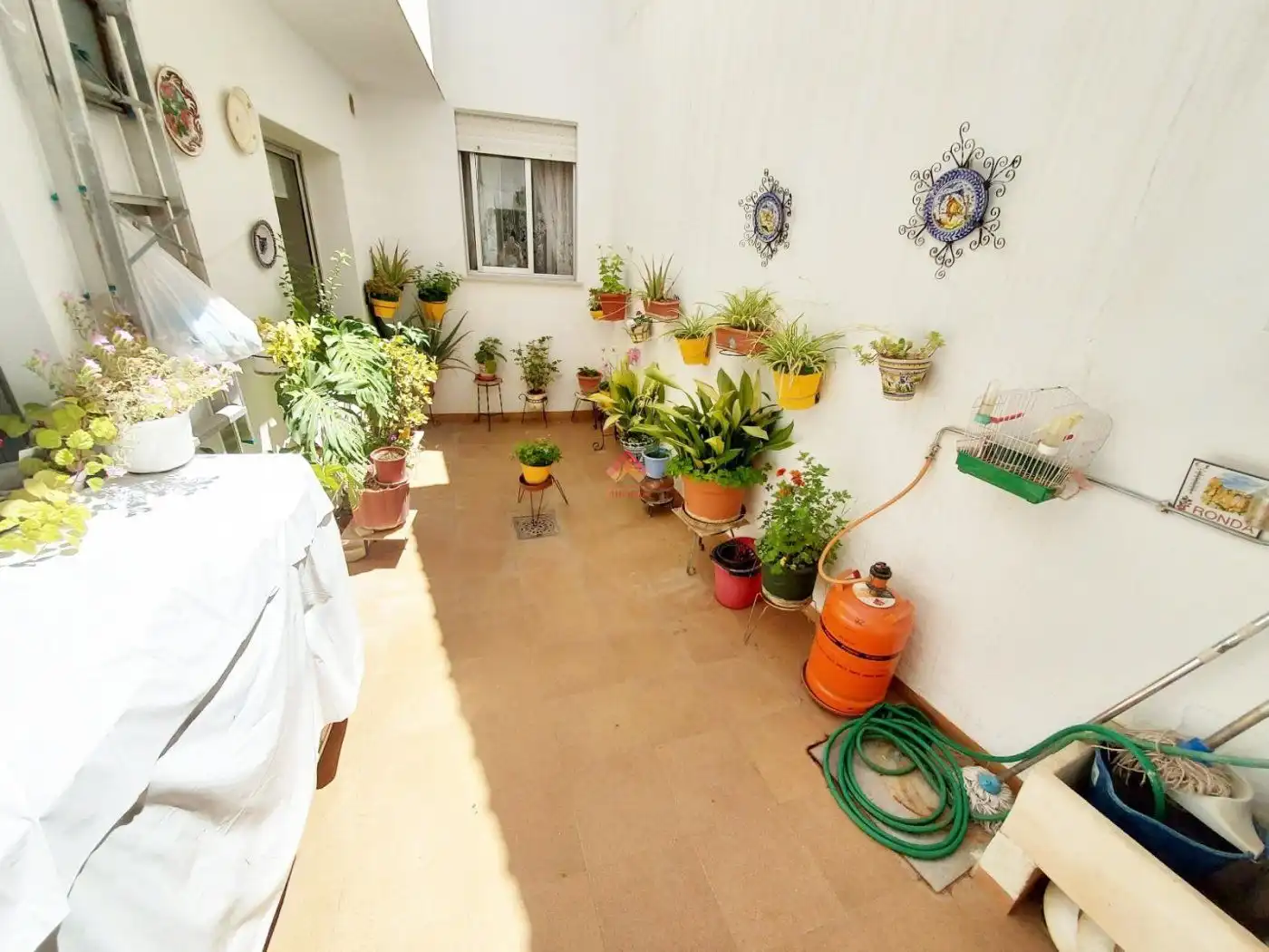 Jardí de Casa o xalet en venda en Ronda amb Moblat i Balcó