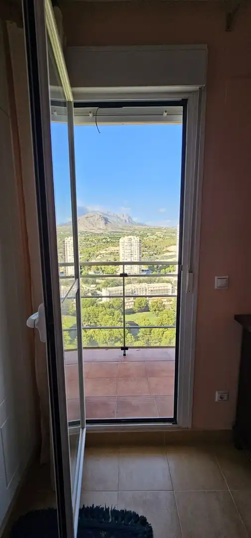 Apartment mit Pool zum Verkauf in Centro Urbano, imagen 7
