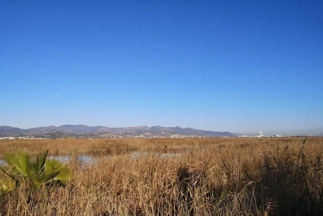Rustikales Grundstück zum Verkauf in La Llosa, imagen 4