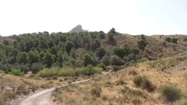Terrains et parcelles à vendre à Pt Llana Diputación de la Parrilla, imagen 7