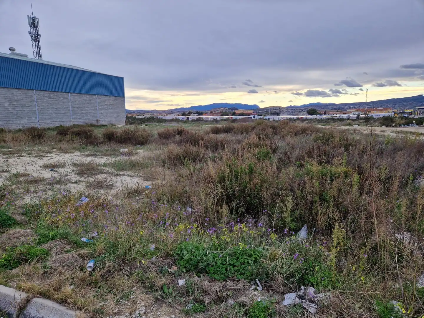 Terreny industrial en venda a Archena, imagen 9