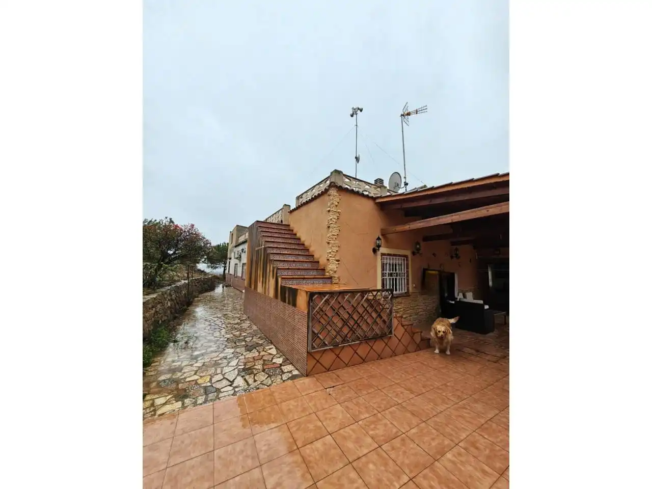 Vista exterior de Casa o xalet en venda en Alicante / Alacant amb Aire condicionat, Calefacció i Jardí privat