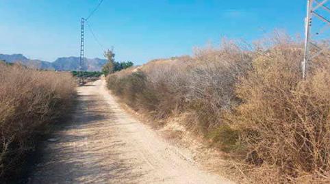 Foto 4 de Residencial en venda a Paraje de Los Desamparados, -1, Desamparados - Hurchillo - Torremendo, Alicante
