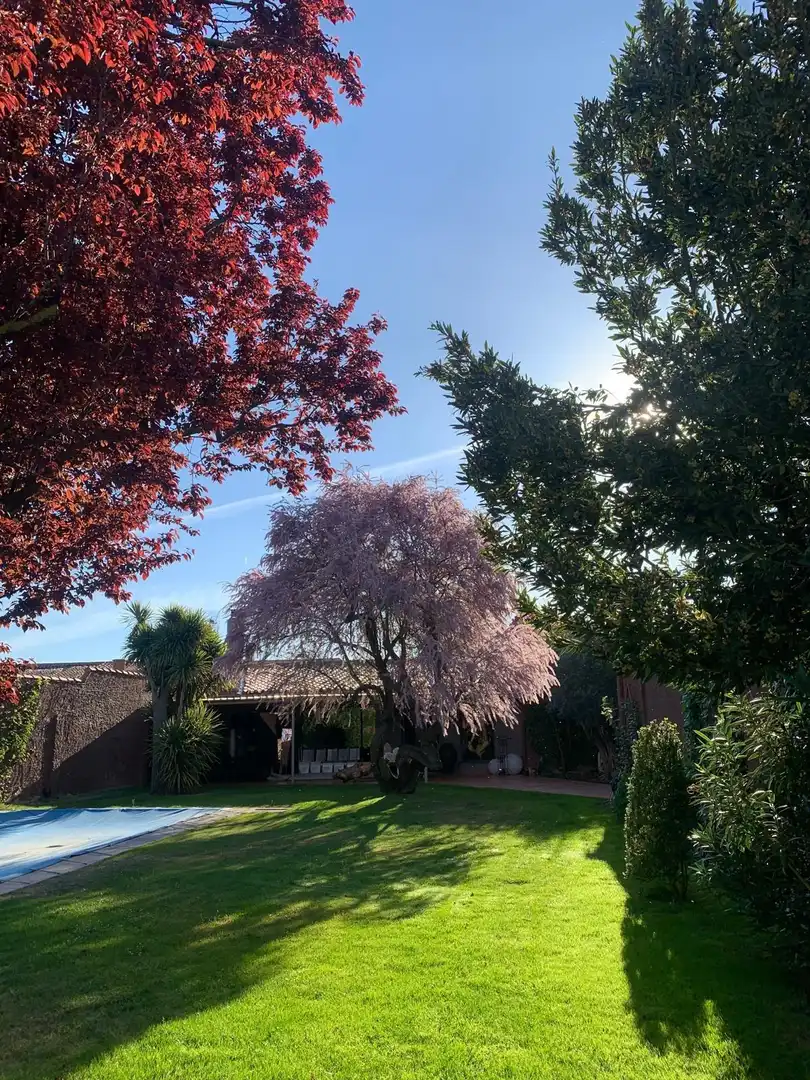 Casa amb piscina en venda a El Perdigón, imagen 16