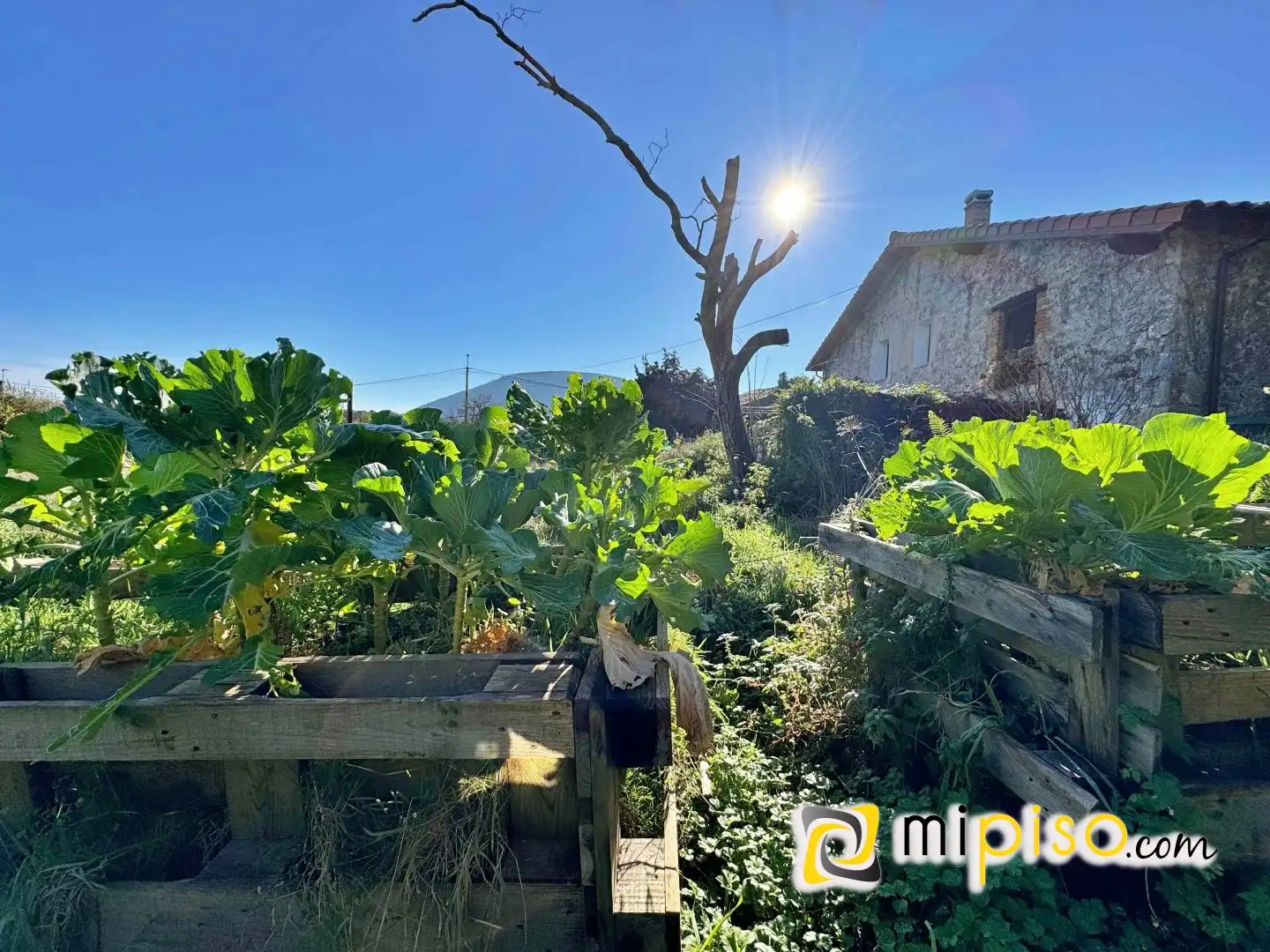 Jardí de Casa o xalet en venda en Arnuero