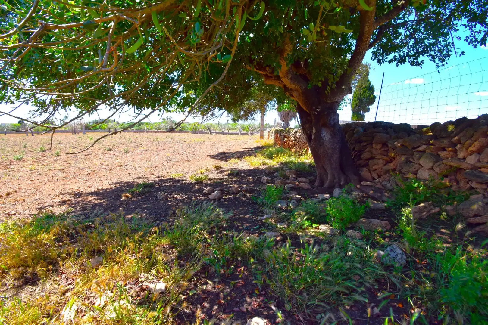 Residential land for sale in Santa Margalida Poble, imagen 16
