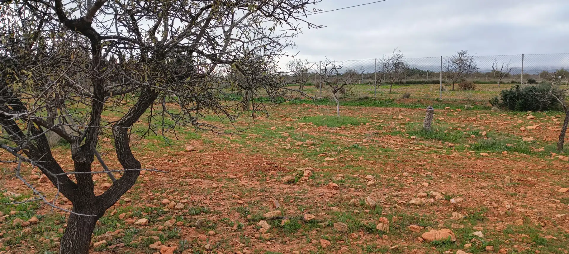 Terrenys i solars en venda a Pedanías Oeste, imagen 2