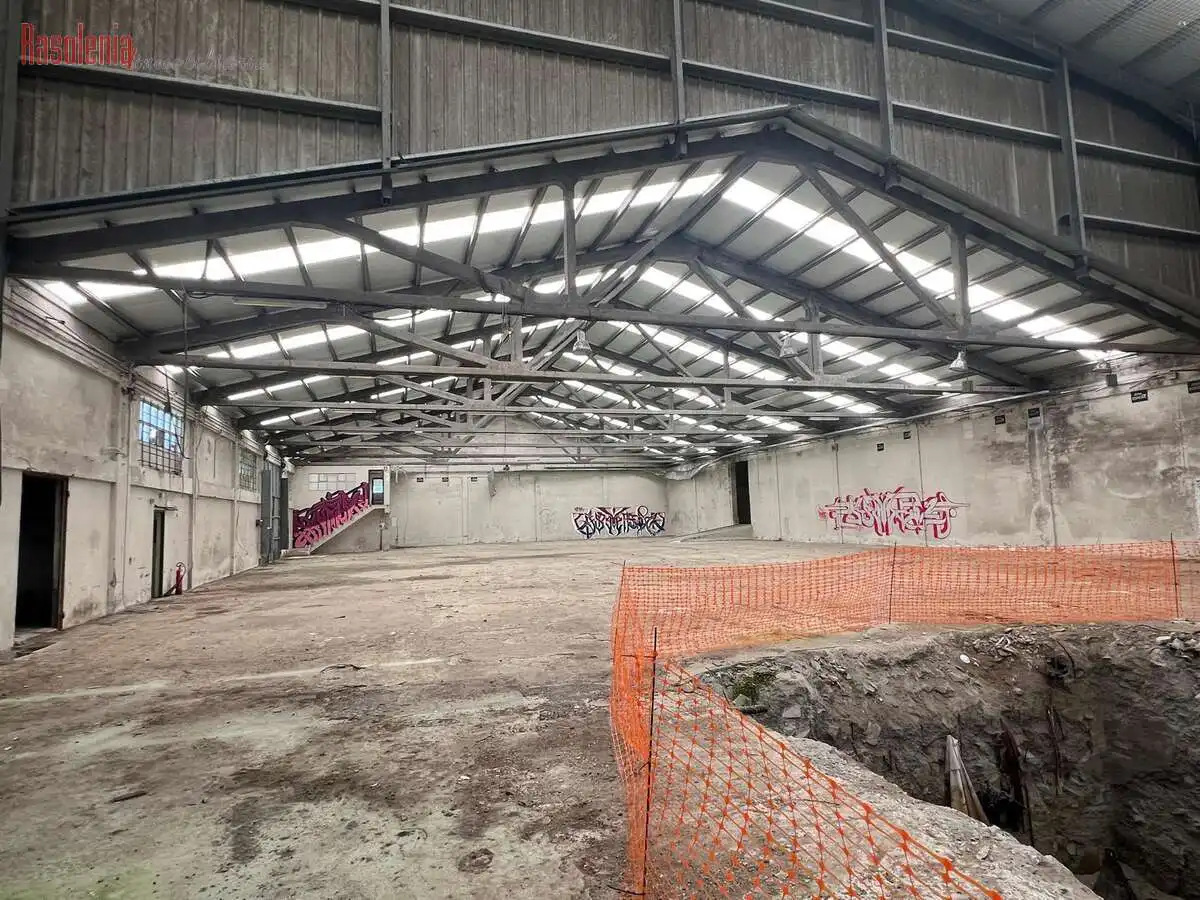 Industriegebäude zum Verkauf in Ribo 6, imagen 6