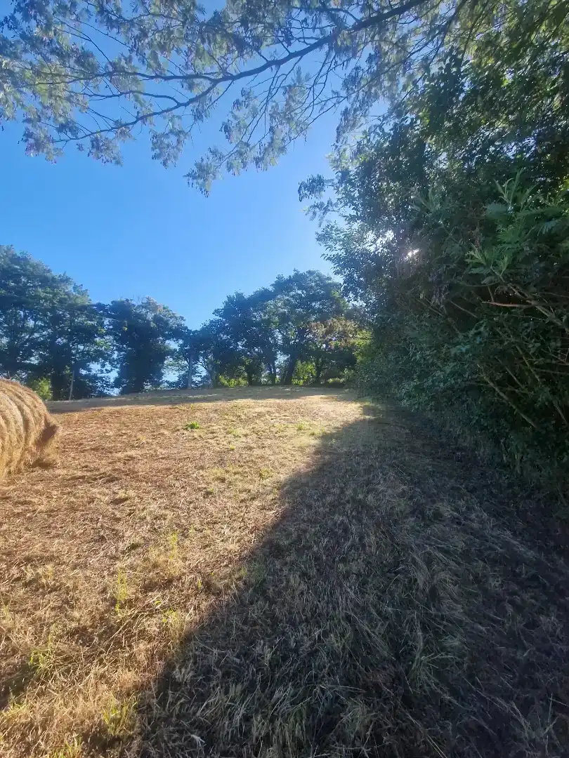 Finca rústica en venda en Las Regueras  