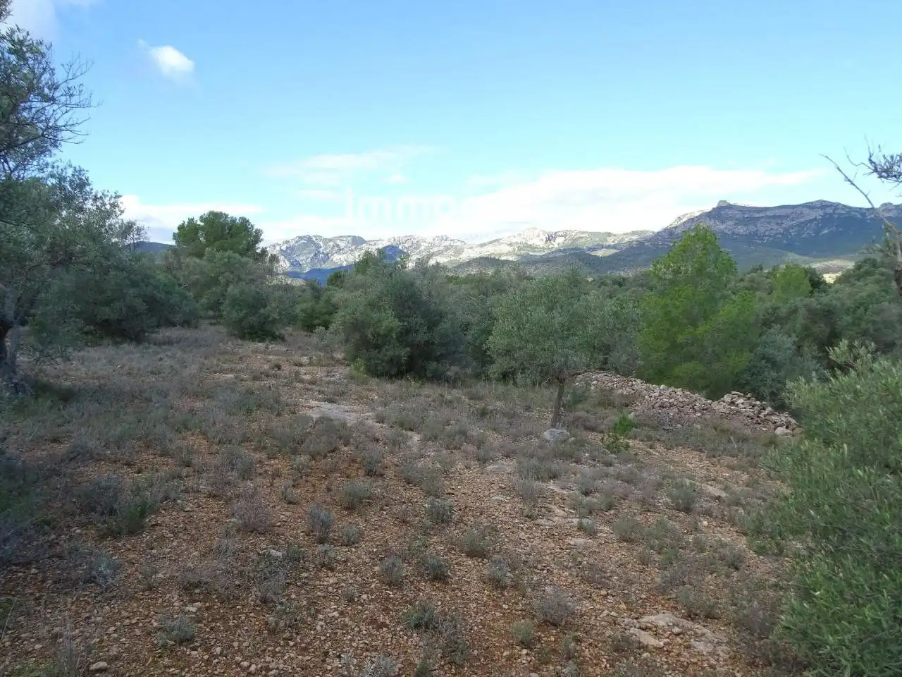 Villa à vendre à Aldover, imagen 5