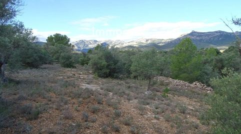 ¡Immomax Ebre presenta esta finca rústica en venta en Aldover! Con un extenso terreno de 33,072 m2, este pedazo de paraíso rural e, imagen 5