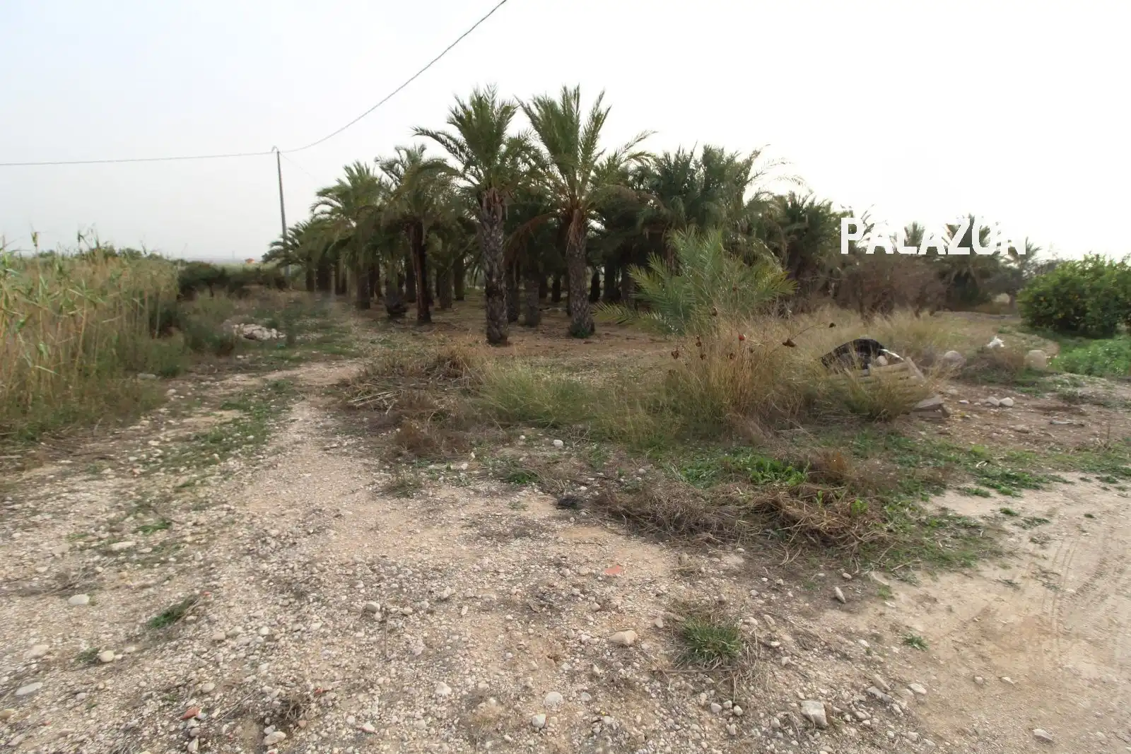 Terreno rustico in vendita a Crevillent
