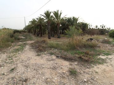 Rural land for sale in Crevillent