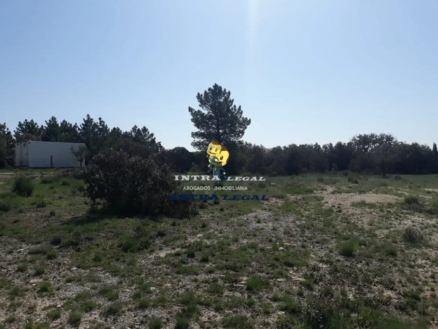 Terreno en venta en Buenavista