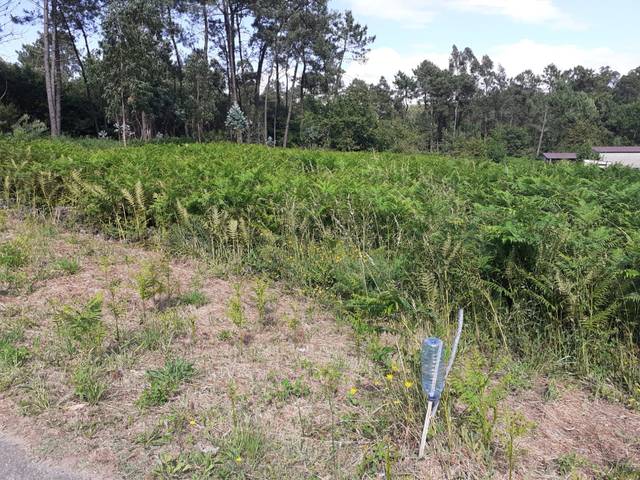 Terreno residencial en Venta en Nantes