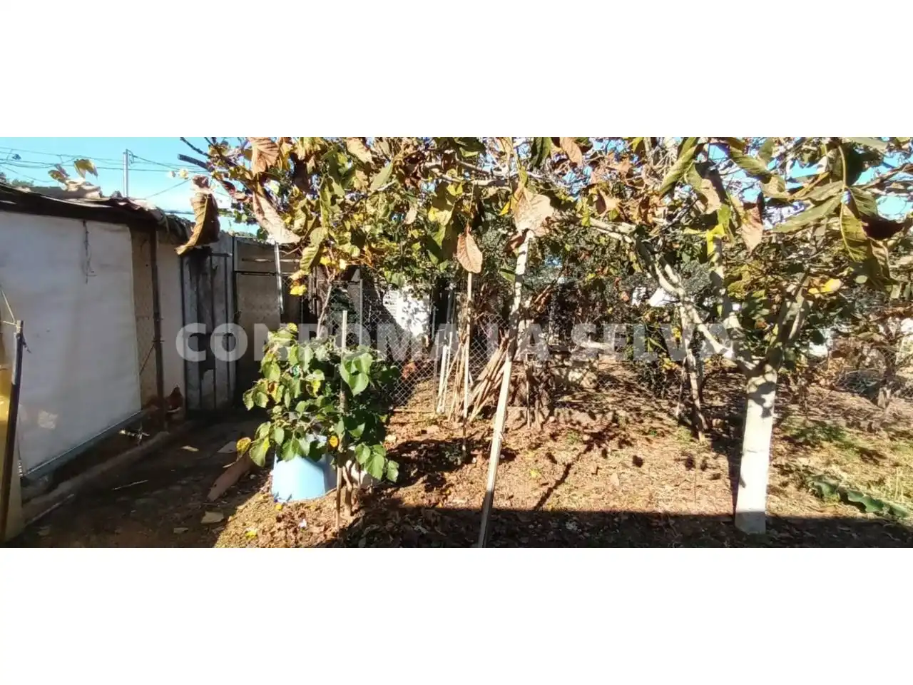Rural land for sale in Malgrat de Mar, imagen 12