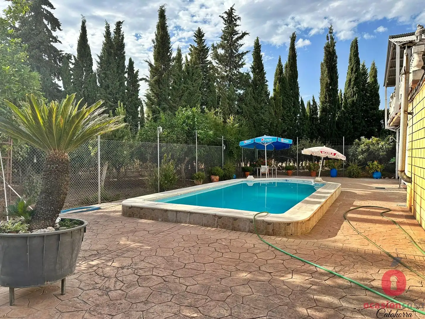 Piscina de Finca rústica en venda en Córdoba amb Jardí privat, Terrassa i Traster