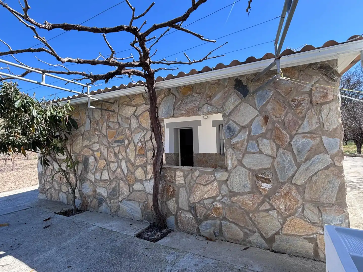 Country homes for sale in DISEMINADO, Castillo de Locubín