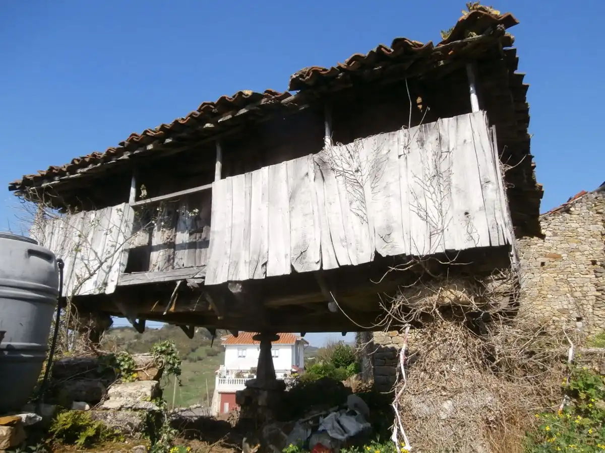 Maison à vendre à Grado, imagen 4