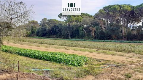 Photo 3 of Residential for sale in Llofriu, Palafrugell