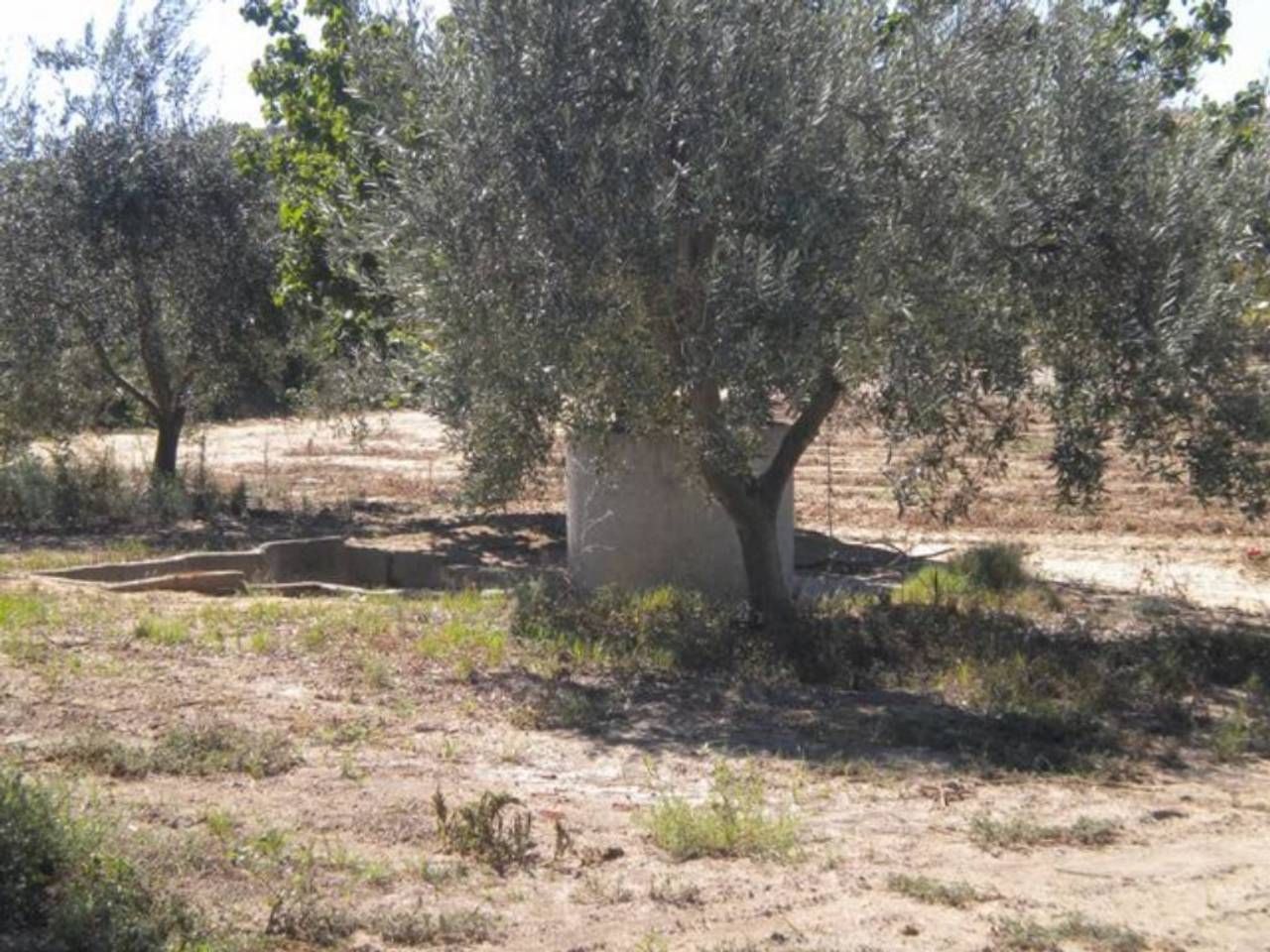 Land for sale in Rena