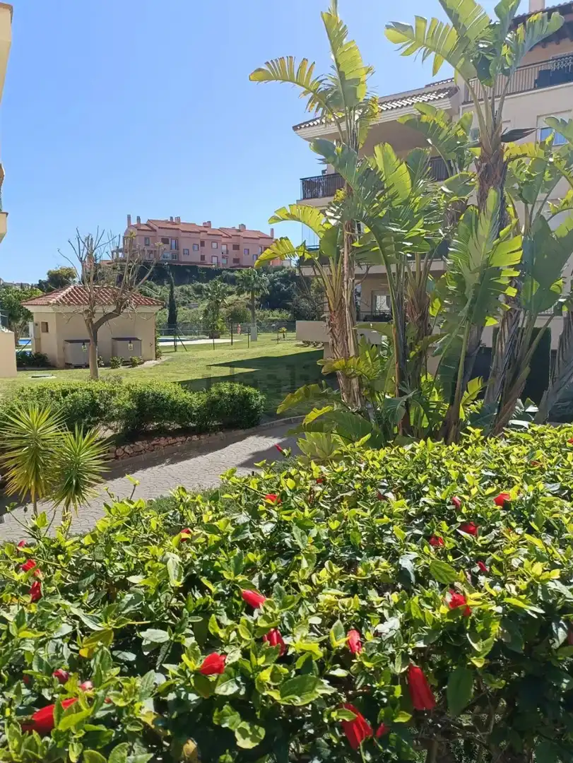 Jardí de Apartament de lloguer en Mijas amb Terrassa i Moblat