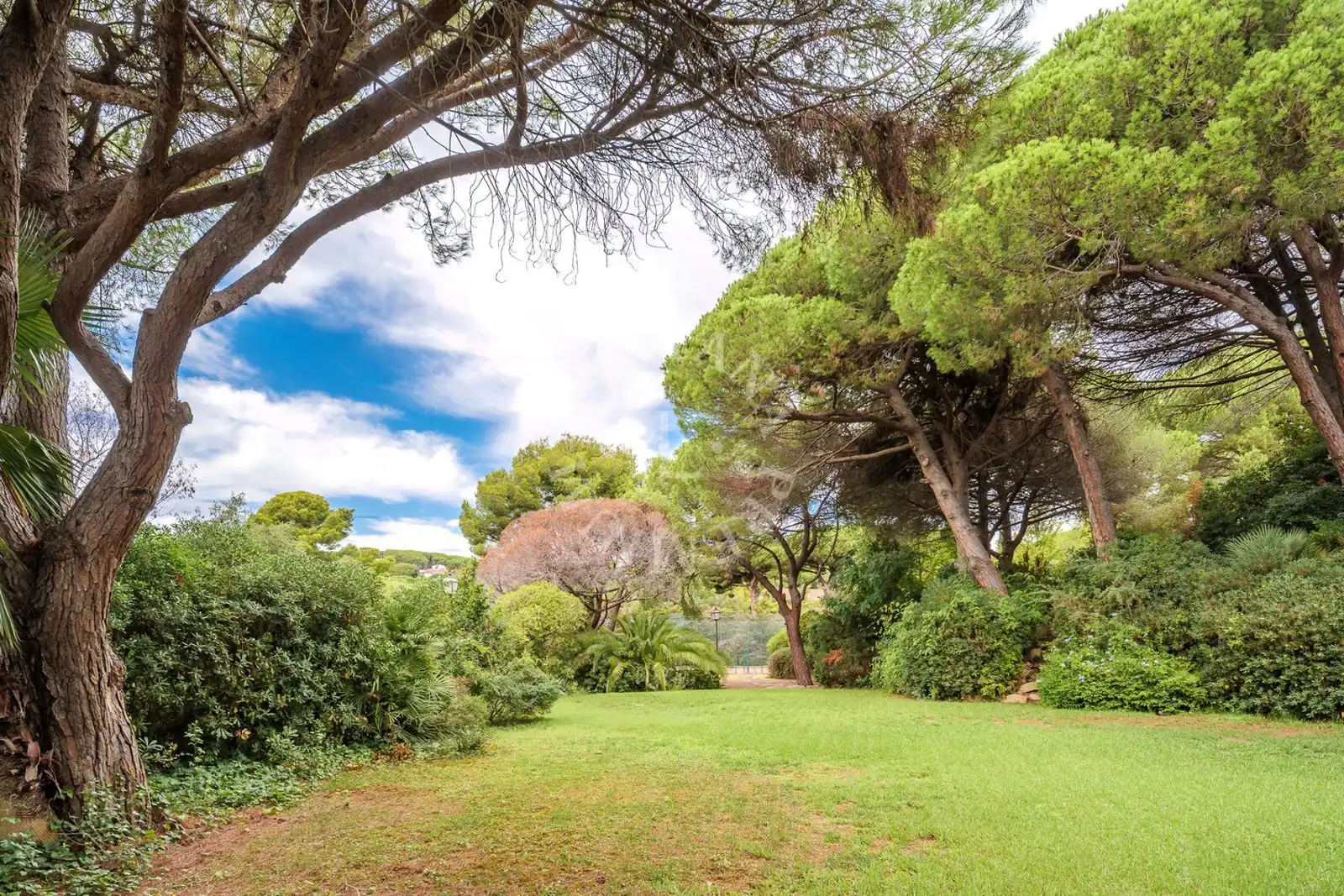 Casa en venda a Mare de Deu del Pilar, imagen 9