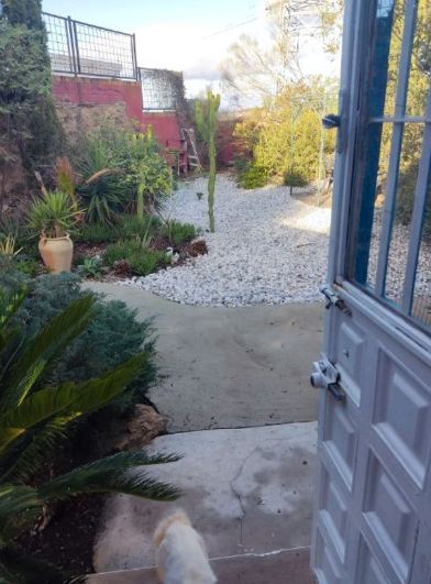 Jardí de Estudi de lloguer en Málaga Capital amb Terrassa i Moblat
