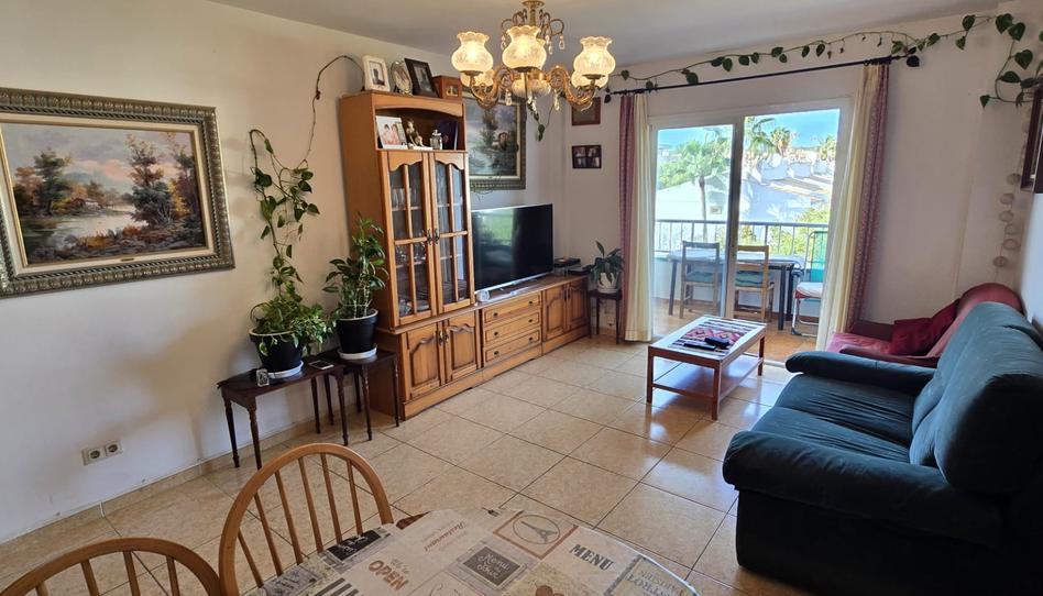 Foto 1 de Piso en venta en Son Ferrer, Illes Balears