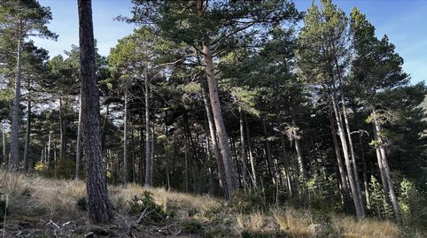 Terreno en venta en La Coma