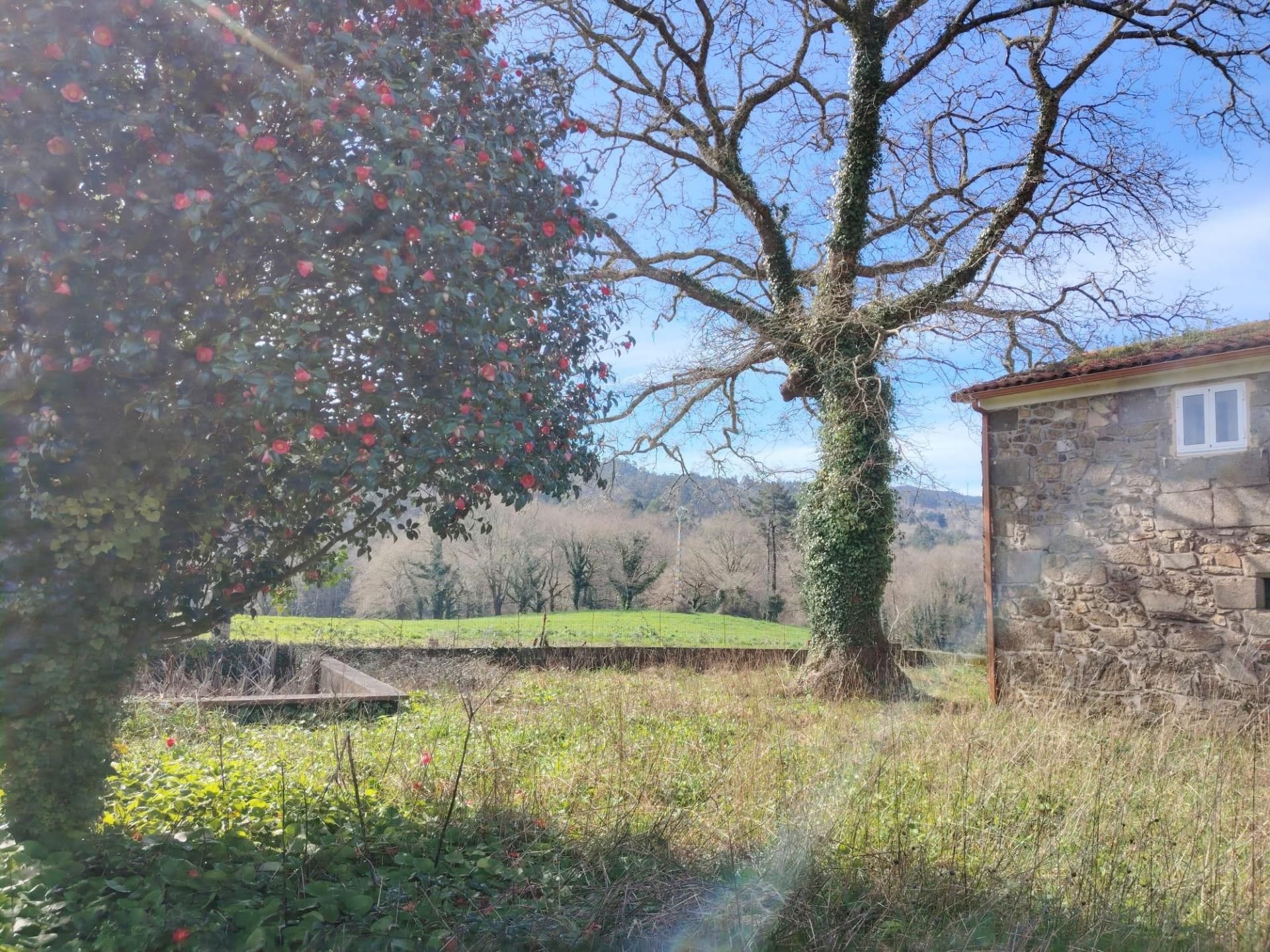 Country house for sale in Negreira  with Terrace