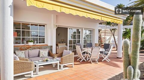 Photo 5 of Apartment to share in Puerto Rico, Mogán