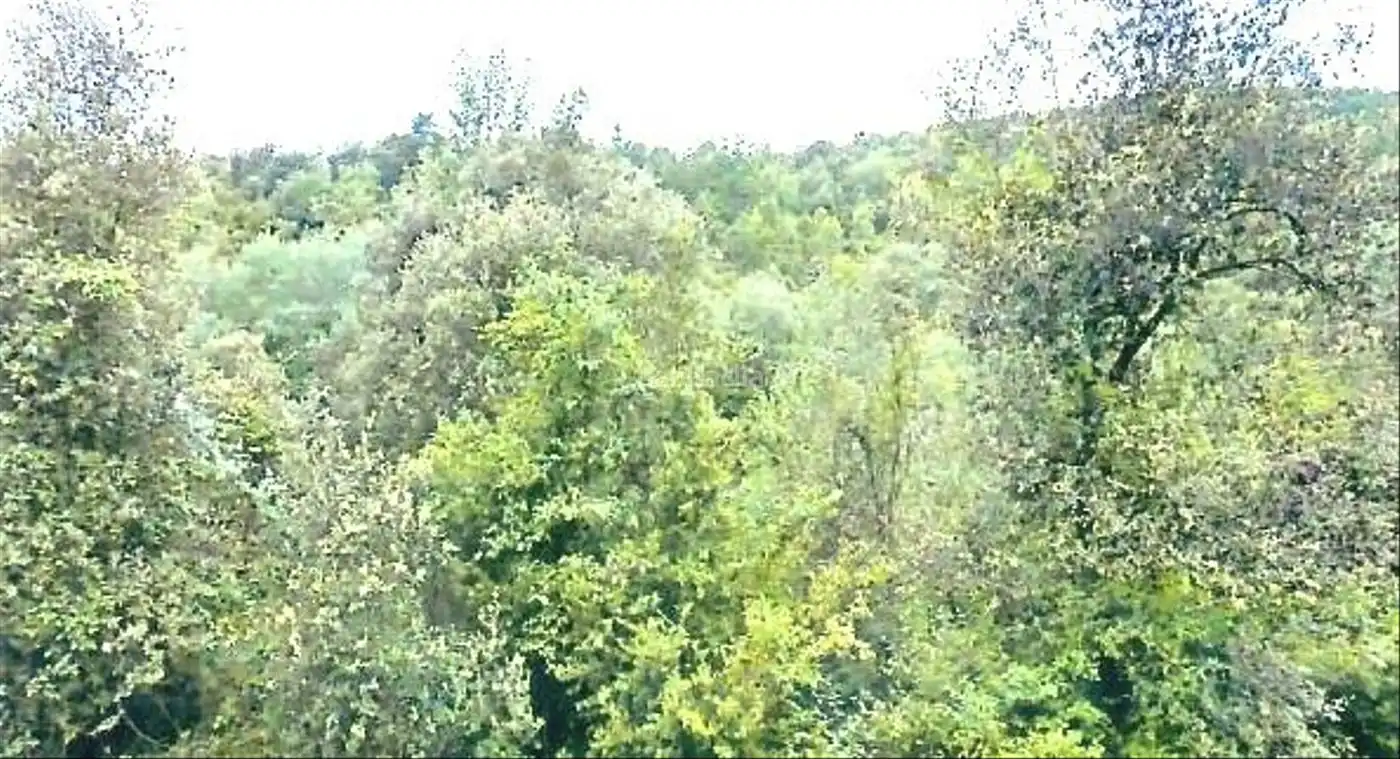 Rustikales Grundstück zum Verkauf in Vial Camino 1, imagen 21