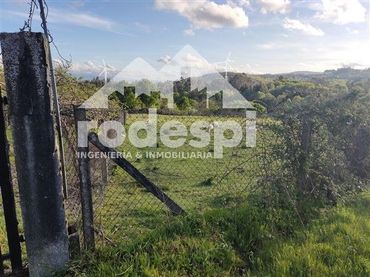 Terreno rústico en venta en A Cañiza