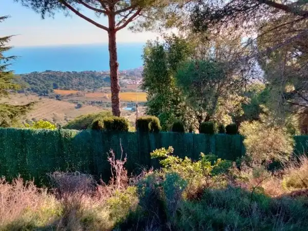 Residential land for sale in Avinguda Sant Mateu, imagen 6