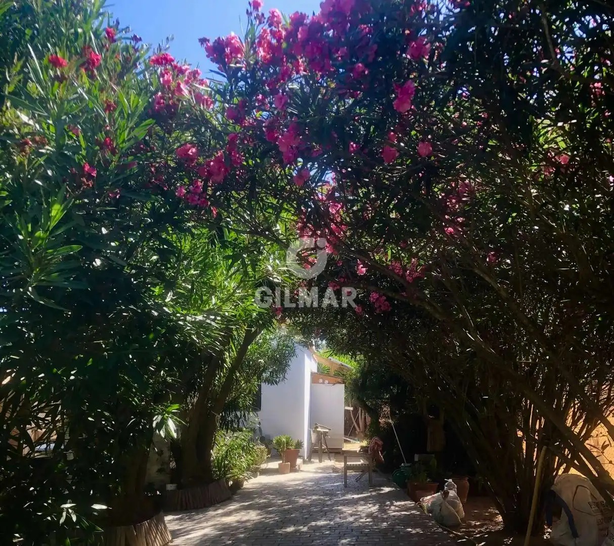 Chalet con jardín en venta en Pelagatos - Pago del Humo, imagen 14