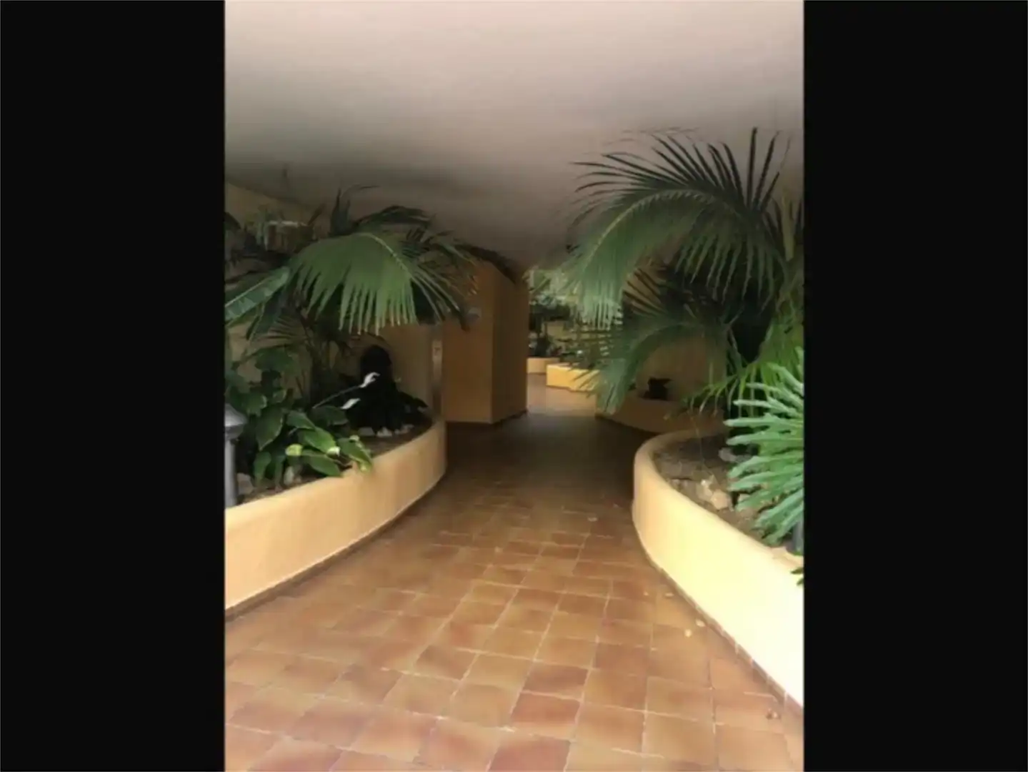 Apartament de lloguer en Los Cristianos
