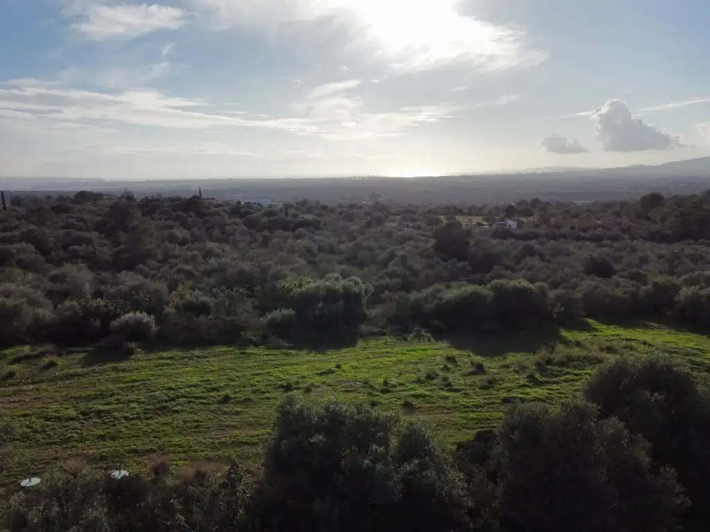 Terreny rústic en venda a Sa Cabaneta, imagen 19
