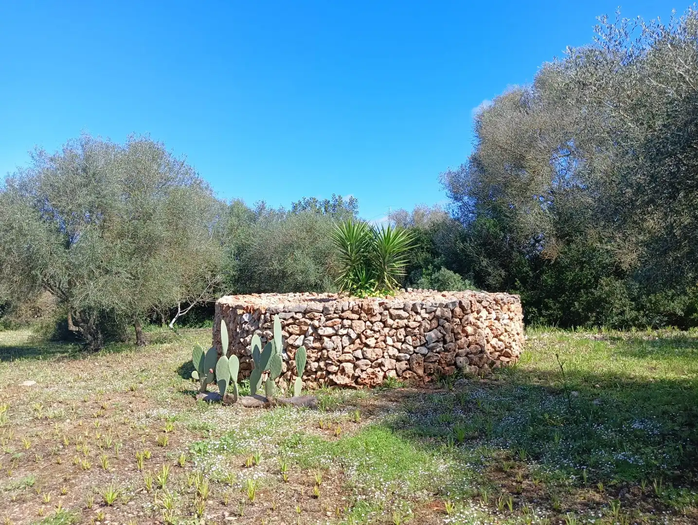 Casa en venta en Manacor Centre, imagen 17