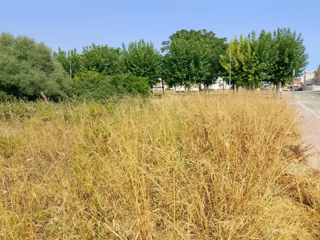 Land for sale in Calle Botánico Cabanilles, Piles