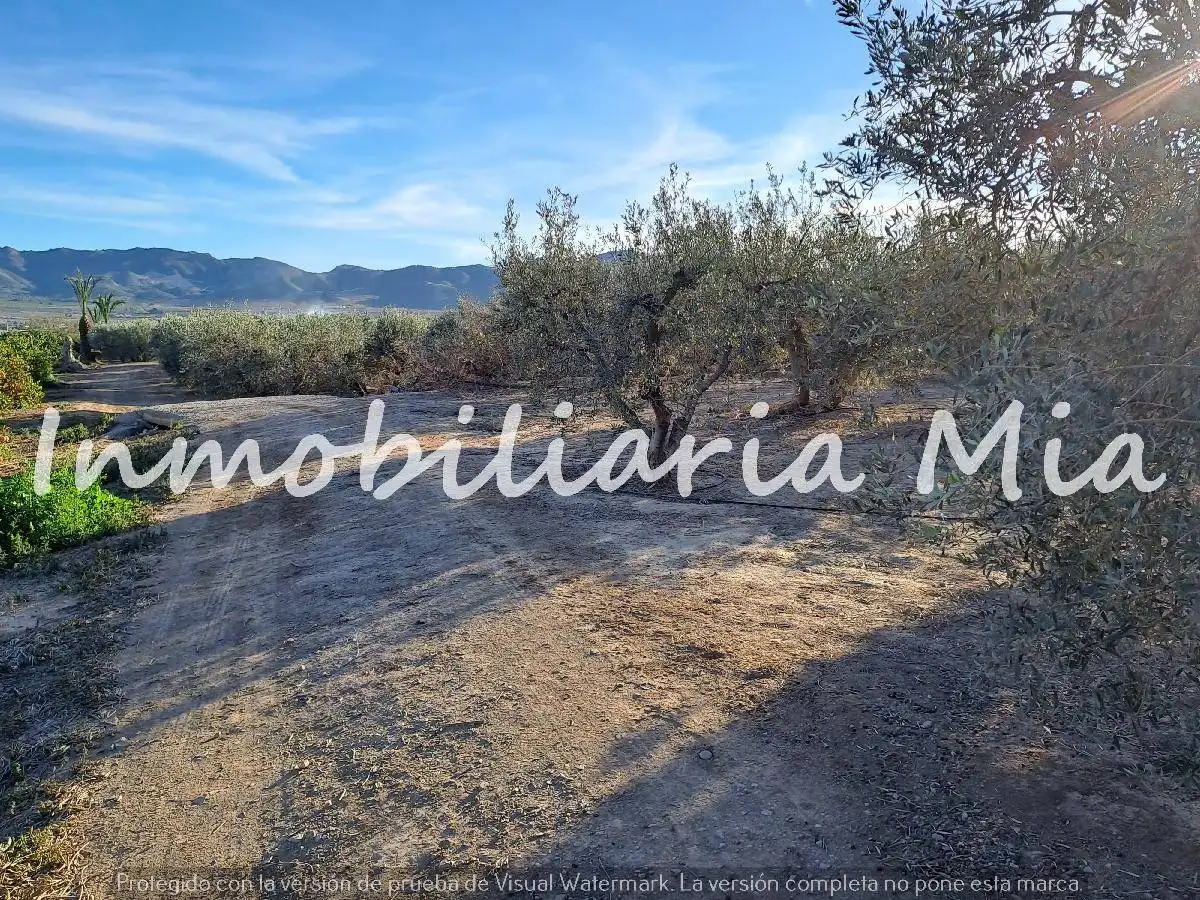 House for sale in Huércal-Overa, imagen 4